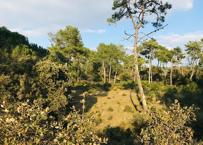Appartement T2 De La Garenne, Calme Et Forêt Saint-Jean-de-Monts