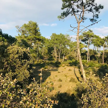 Apartment T2 De La Garenne, Calme Et Foret Saint-Jean-de-Monts